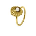Anel Seashell Eugénio Campos